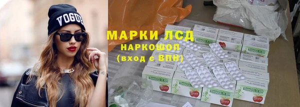 хмурый Корсаков