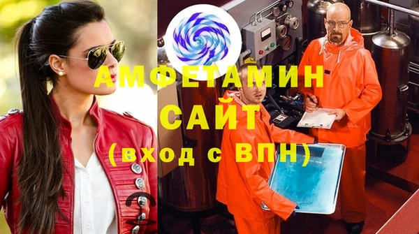 индика Бикин