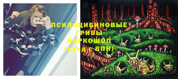 синтетический гашиш Коряжма