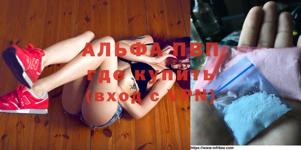 гашик Беслан