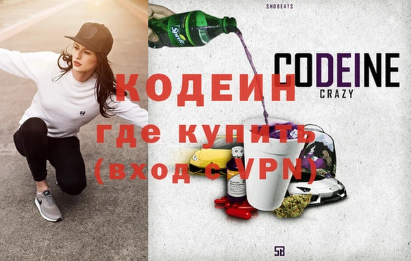 индика Бикин