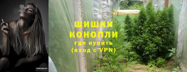 амф Костерёво