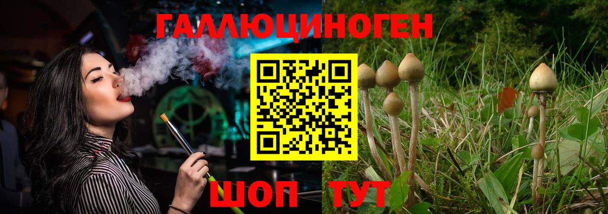 Псилоцибиновые грибы MAGIC MUSHROOMS  Вход с VPN  Псилоцибиновые грибы Magic Shrooms  Краснотурьинск 